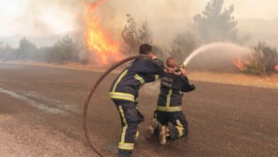 Manavgat'ta orman yangını çıkaran sanığın cezası belli oldu