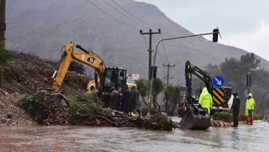Marmaris'te bazı iş yerlerini su bastı, ağaçlar devrildi