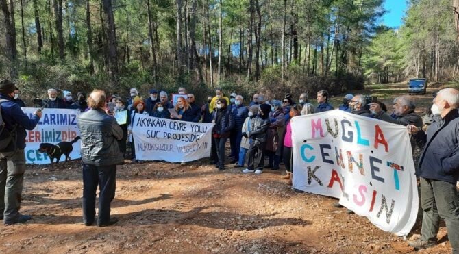 Onlarca ağacın kesildiği çevre yolunun izni yokmuş