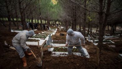 Prof. Dr. Başer'in Covid-19 araştırmasında dikkat çeken veriler: Veriler Bakanlık açıklamasının 2 katından fazla