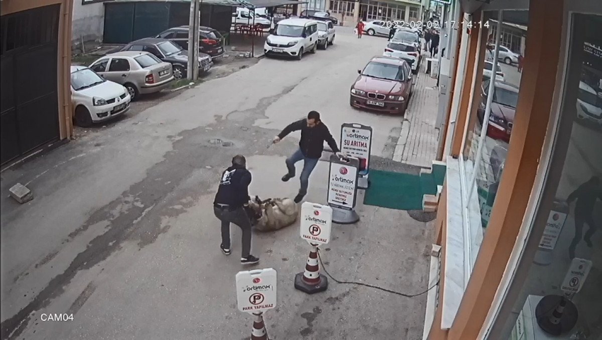 Bursa’da selfie çekerken, tasmasız pitbull sokak köpeğine saldırdı #5