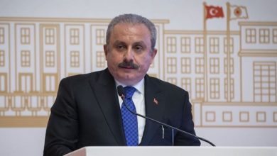 TBMM Başkanı Mustafa Şentop'tan Montrö açıklaması: Türkiye antlaşmaya harfiyen riayet edecek