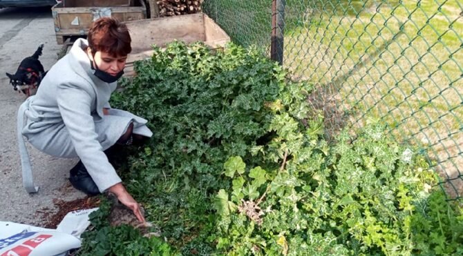 Turgutlu'daki vahşet görüntüleri isyan ettirdi