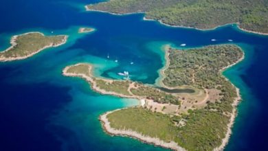 Akdeniz ve Ege’de büyük tehlike! Tahribat yüzde 90'a ulaştı