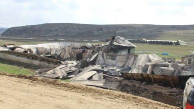 Ankara'da korkunç yangın: 600 hayvan yaşamını yitirdi