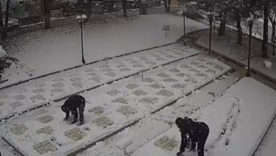 Çan'daki şehitlikte duygulandıran görüntüler