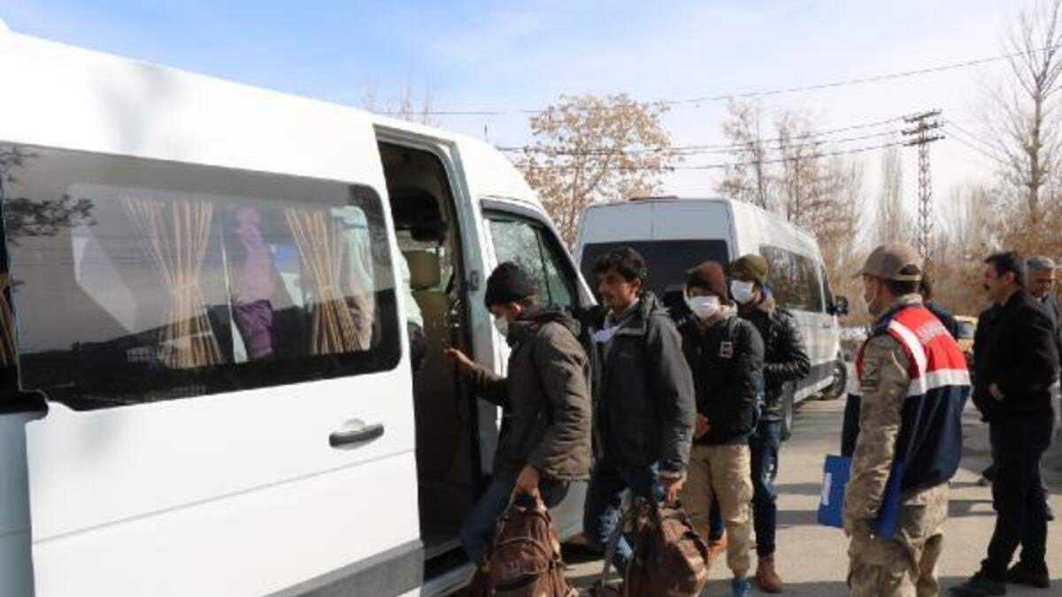 Dere yatağına saklanmış 116 kaçak Afgan göçmen yakalandı
