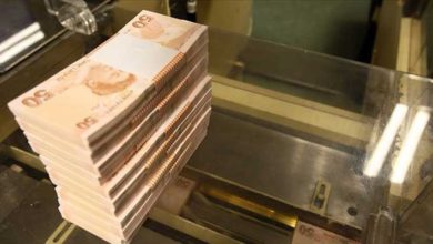 Hazine 6,9 milyar lira borçlandı
