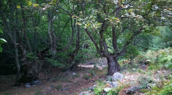 Kaynak suları 'Mutlak Koruma Alanı' ilan edildi