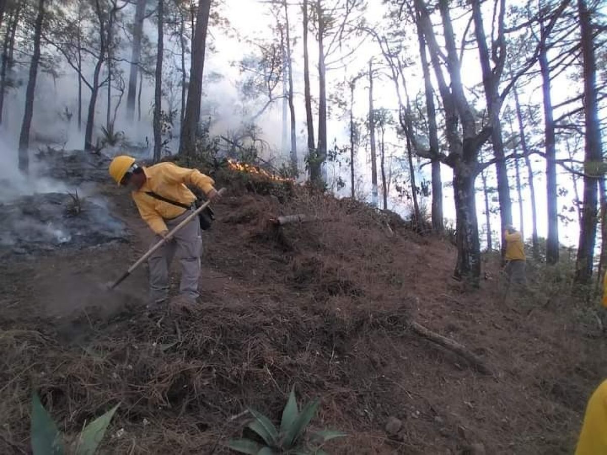 Meksika da son 24 saatte 42 orman yangını #1
