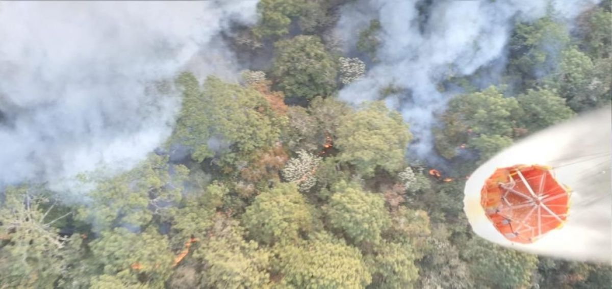 Meksika da son 24 saatte 42 orman yangını #2