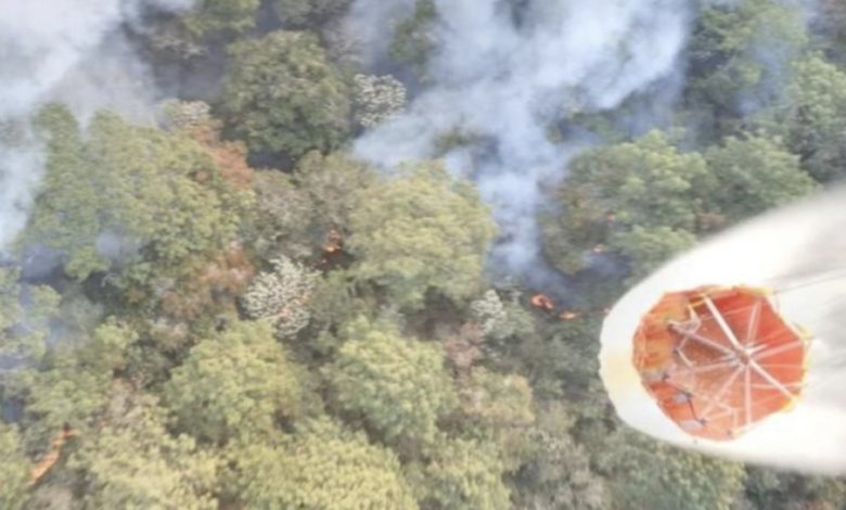 Meksika'da son 24 saatte 42 orman yangını