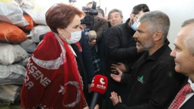 Meral Akşener'den 'Türk Telekom' çıkışı
