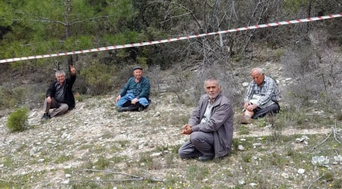 Muğla'da asırlık zeytinlerin sökülmesi köylüleri ayaklandırdı