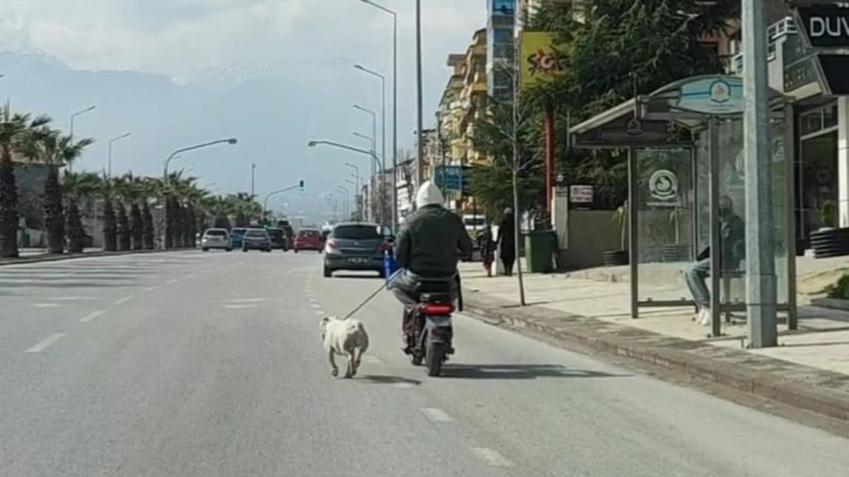 Sürücü Denizli'de motosiklete bağladığı köpeği koşturdu