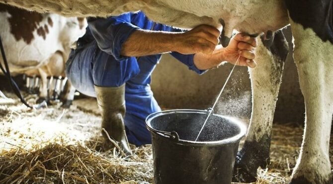 Sütte kriz büyüyor: Tüketici bugünkü fiyatları arar hale gelir