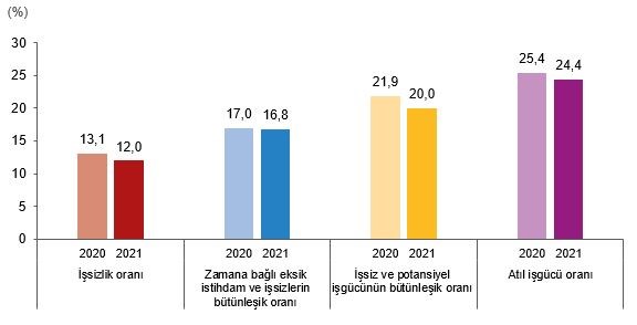 tuik-e-gore-2021-de-issizlik-1-1-puan-azalisla-yuzde-12-oldu-994645-1.