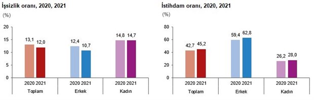 tuik-e-gore-2021-de-issizlik-1-1-puan-azalisla-yuzde-12-oldu-994646-1.