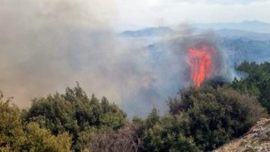 Turistik Sisam Adası alev alev yanıyor!