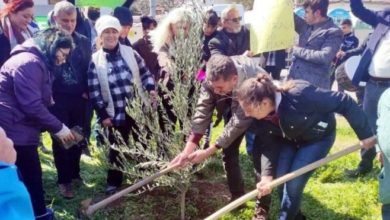 Yeni çıkan maden yönetmeliğini fidan dikerek protesto ettiler