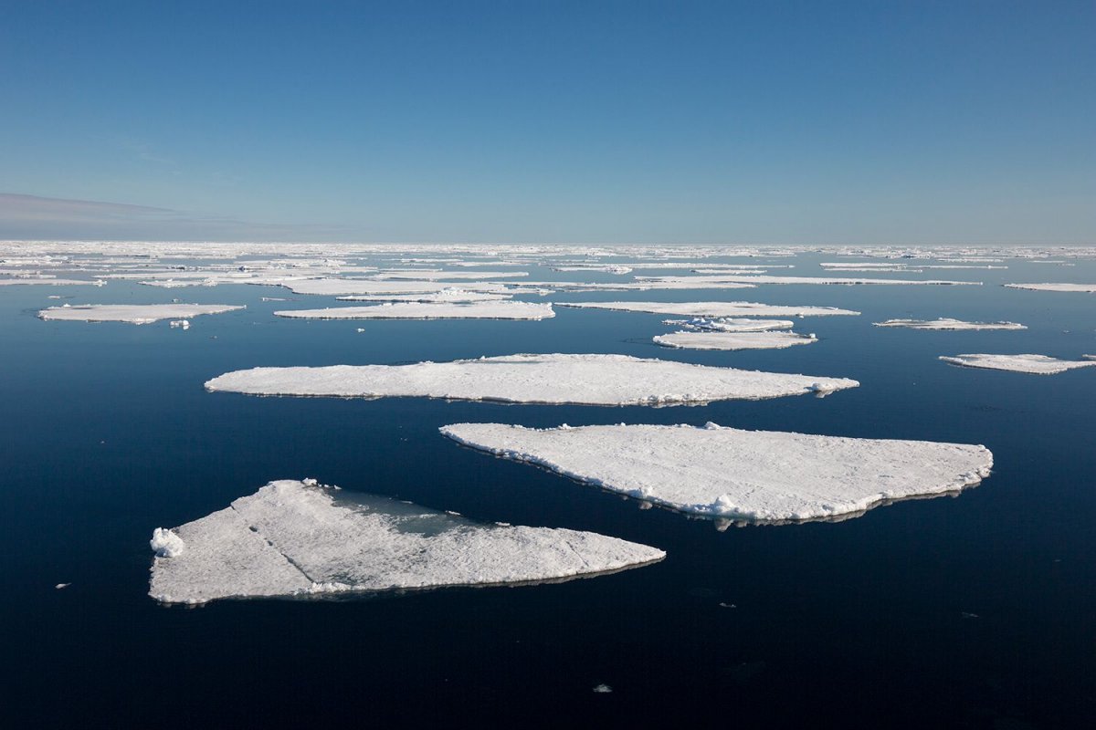 Arktik deniz buzu son 44 yılın en düşük seviyesinde #1