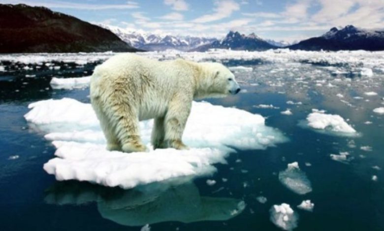 Arktik deniz buzu son 44 yılın en düşük seviyesinde