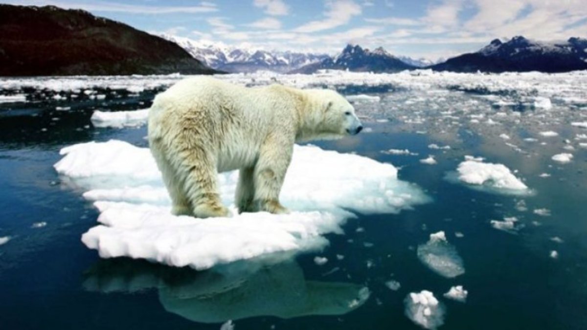 Arktik deniz buzu son 44 yılın en düşük seviyesinde