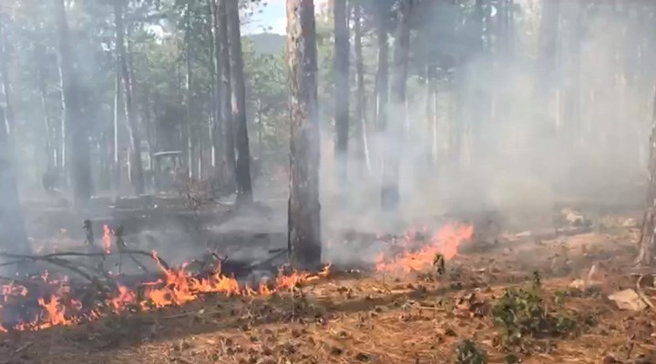 Balıkesir’de çıkan orman yangını söndürüldü
