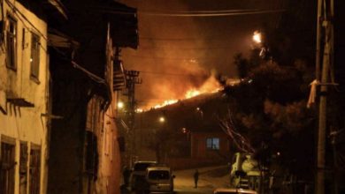 Bilecik’teki orman yangını 12 saatte kontrol altına alındı