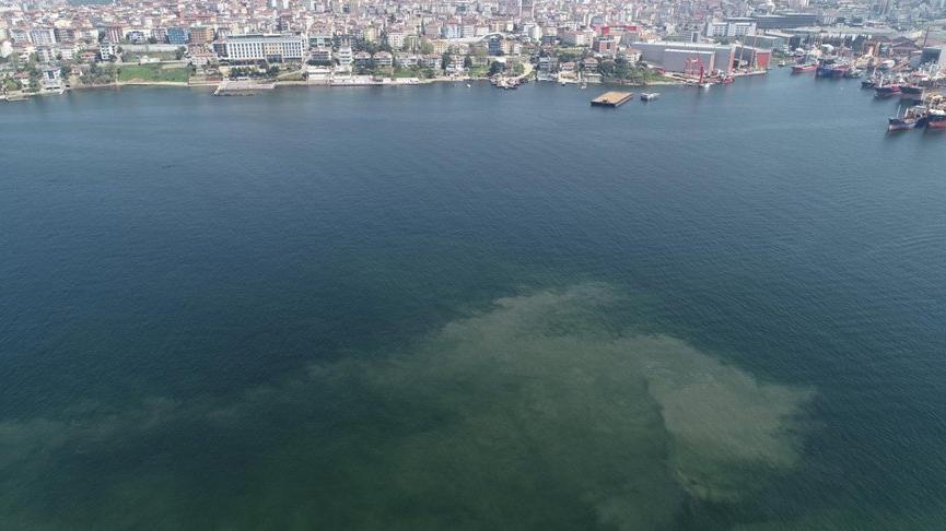 Prof. Dr. Mustafa Sarı: Gördüğümüz, krem kıvamındaki müsilaj - Son dakika haberleri – Sözcü