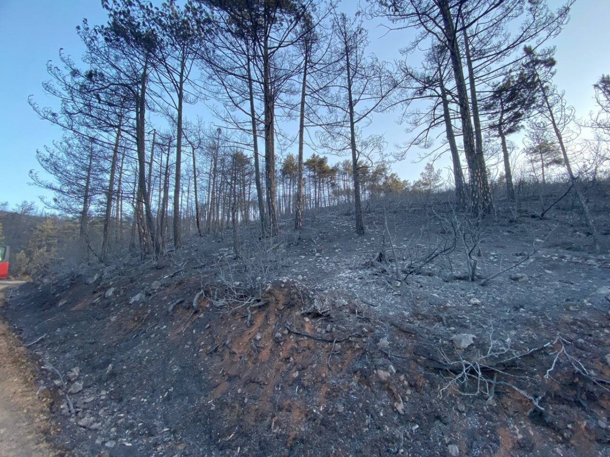 Bursa da orman yangını: 18 saatin sonunda kontrol altına alındı #2