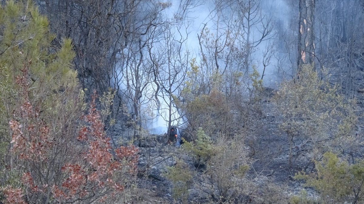 Bursa da orman yangını: 18 saatin sonunda kontrol altına alındı #7