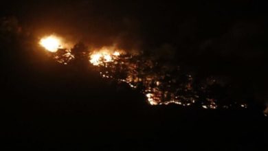 Çanakkale'deki yangın ormana yayıldı