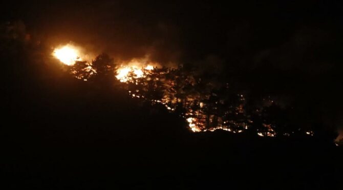 Çanakkale'deki yangın ormana yayıldı