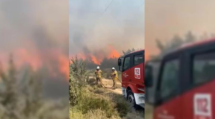 Çeşme’de orman yangını