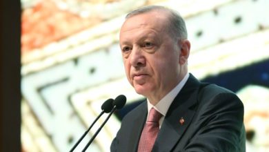 Cumhurbaşkanı Erdoğan'dan 'istila' açıklaması