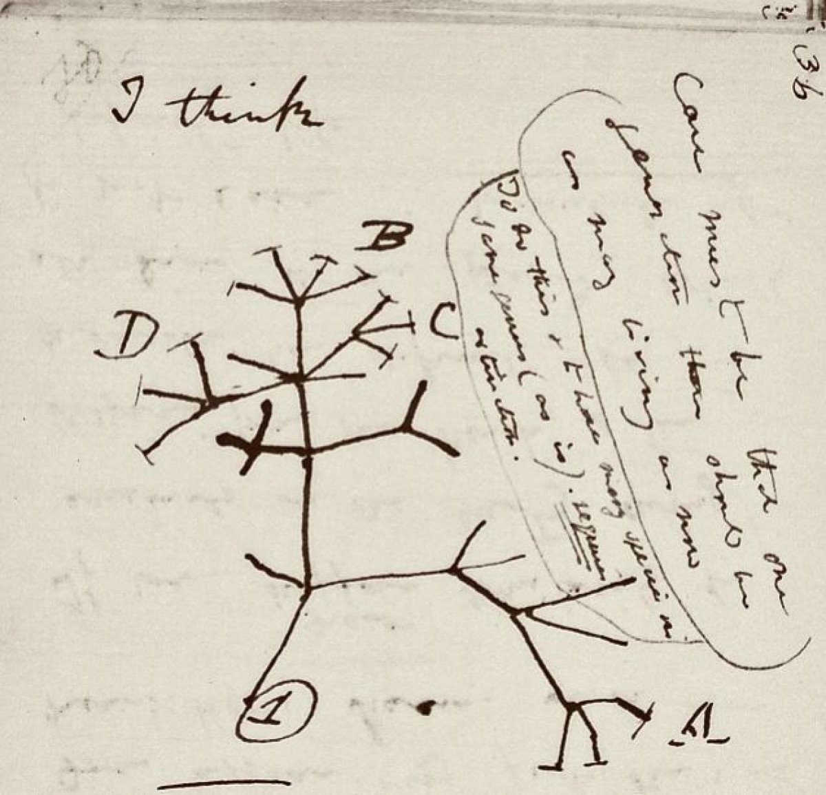 Darwin’in kayıp not defterleri, 22 yıl sonra ortaya çıktı #2