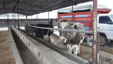 Denizli'deki 7 mahalle karantinaya alındı