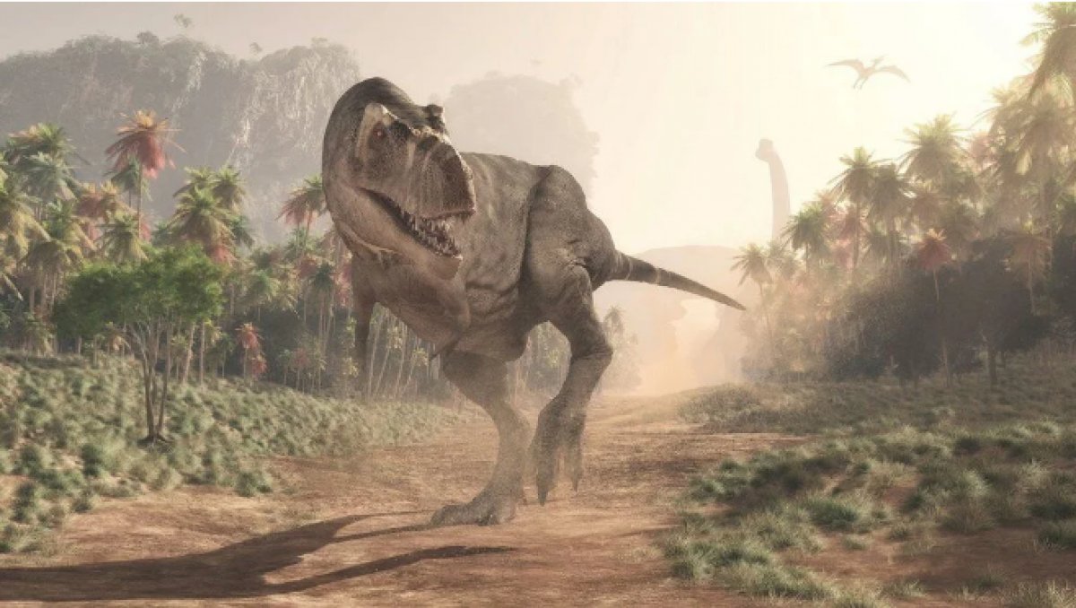 Dinozorları yok eden asteroidle bağlantılı ilk fosil bulundu #3