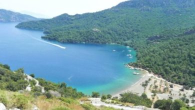 GESİFED, Göcek koylarına yapılan şamandıra sistemine karşı çıktı