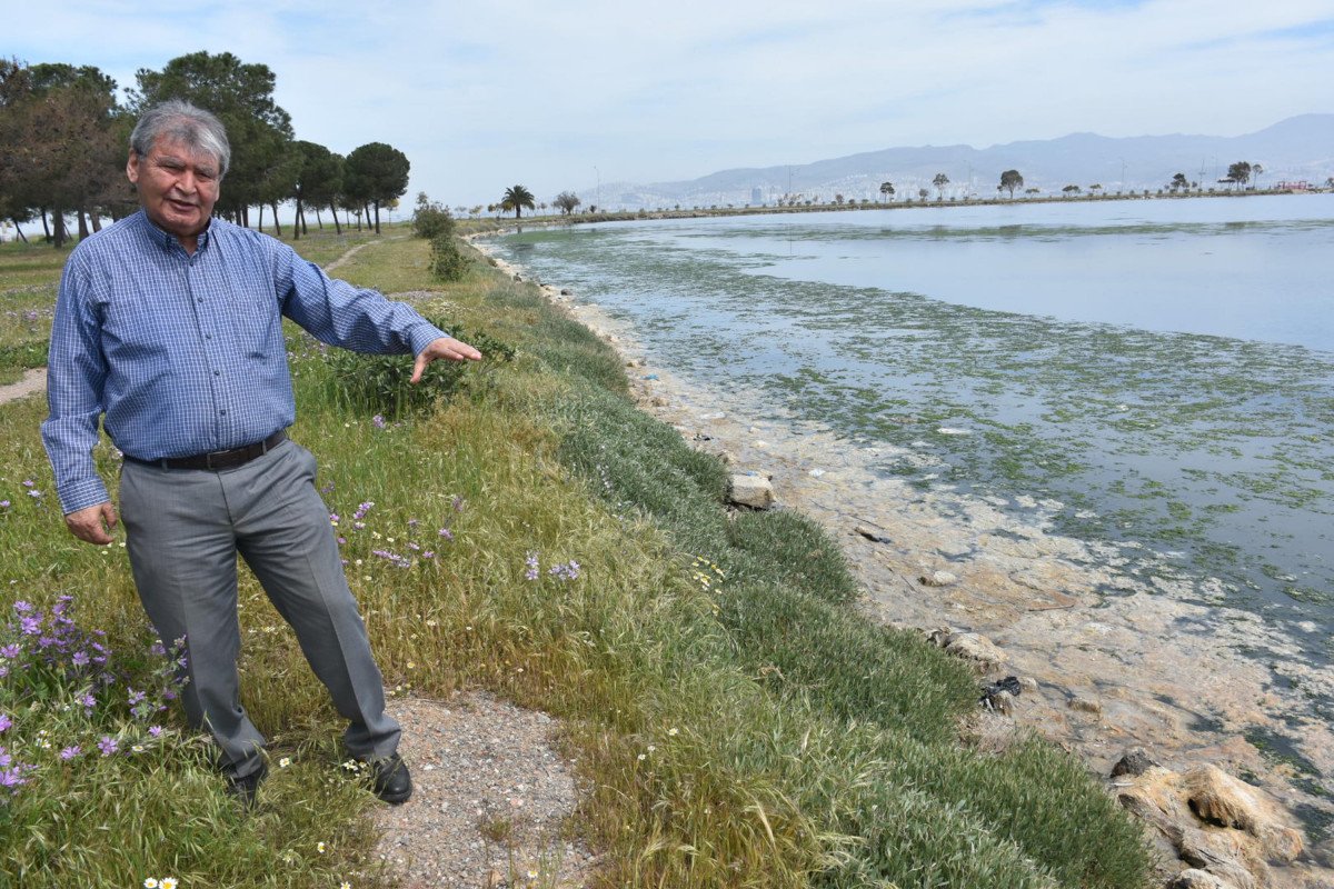 İzmir deki kirlilik, Çakal Lagünü de deniz marulunu ortaya çıkardı #6