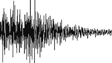 Karadeniz'de 4.5 büyüklüğünde deprem,İstanbul'dan hissedildi