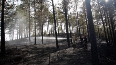 Kastamonu'da çıkan orman yangın söndürüldü