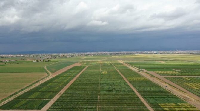 Konya Bahri Dağdaş Uluslararası Tarımsal Araştırma Enstitüsü’nin arazisi rezerv yapı oldu