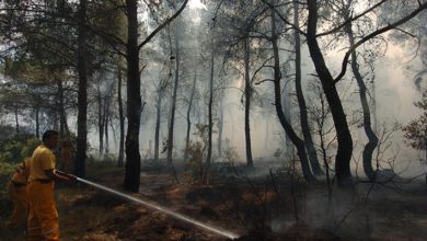 Menderes'teki orman yangınını çıkaran sanığa 5 yıl hapis