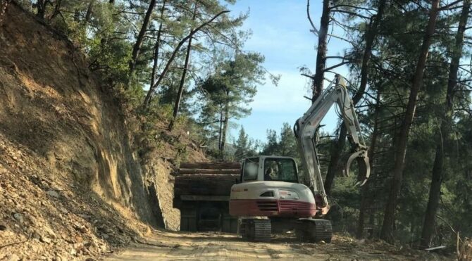 Mermer ocağı için tropikal meyve cennetinde ağaç kıyımı başladı