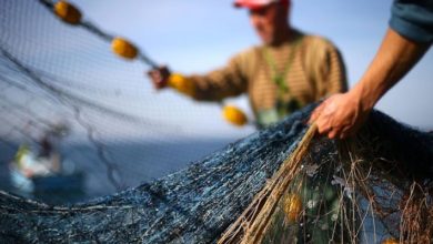 Mersin'deki balıkçı ağına 62 kilo esrar takıldı