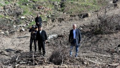 Muratpaşa Belediyesi'ne ağaçlandırma engeli
