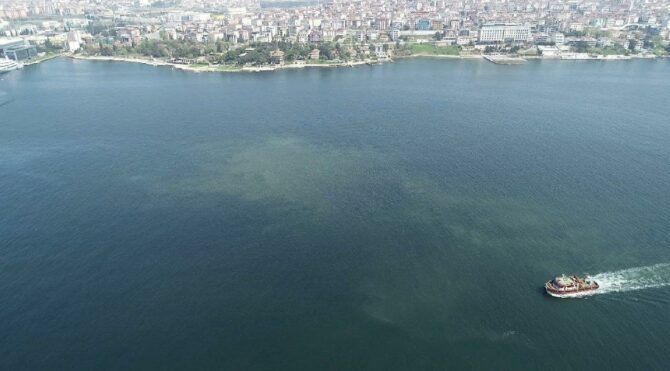 Müsilaj Marmara’da hızla yayılmaya başladı