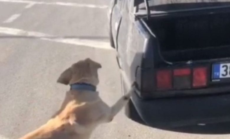 Otomobilin stop lambasından uyuşturucu çıktı